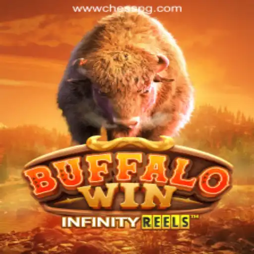 BuffaloWin: A Strategic Adventure in the World of CHESSPG.COM